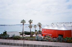 Enlèvement arbre urgence Cannes